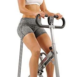 Sunny Health & Fitness Squat Assist Row-N-Ride Trainer for Glutes Workout with Training Video