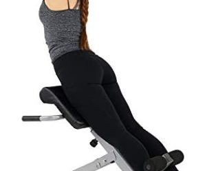 Sunny Health & Fitness Hyperextension Roman Chair