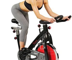 Sunny Health & Fitness Indoor Cycling Exercise Bike with Heavy 49 LB Chrome Flywheel – SF-B1002/C