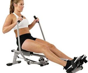 Sunny Health & Fitness SF-RW5639 Full Motion Rowing Machine Rower w/ 350 lb Weight Capacity and LCD Monitor