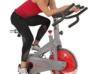 Sunny Health & Fitness AeroPro Indoor Cycling Bike – SF-B1711, Grey