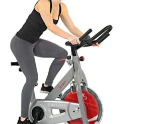 Sunny Health & Fitness Indoor Cycling Exercise Bike with 40 LB Flywheel and Dual Felt Resistance – Pro / Pro II