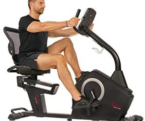 Sunny Health & Fitness Programmable Recumbent Bike – SF-RB4850, Black