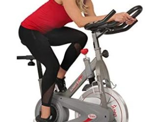 Sunny Health & Fitness Synergy Series Magnetic Indoor Cycling Exercise Bike