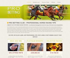 Professional Horse Racing Service