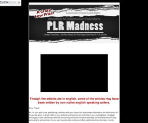 300000 PLR Articles – Limited Time Special Offer