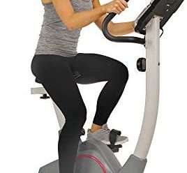 Sunny Health & Fitness Stationary Upright Exercise Bike with Performance Monitor, Tablet/iPad Device Holder, 275 LB Max User Weight with Body Fat and BMI Calculator – SF-B2952,Gray