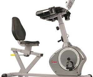 Sunny Health & Fitness Magnetic Recumbent Desk Exercise Bike, 350lb High Weight Capacity, Monitor – SF-RBD4703,Gray