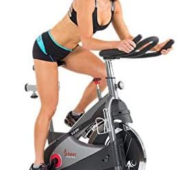 Sunny Health & Fitness SF-B1509C Chain Drive Premium Indoor Cycling Exercise Bike, Gray