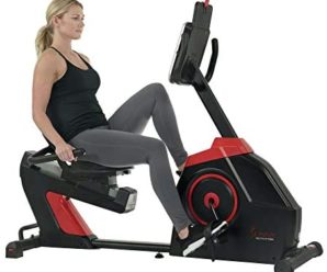 Sunny Health & Fitness Evo-Fit Cardio Recumbent Bike – SF-RB4954