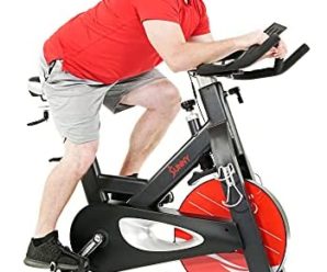 Sunny Health & Fitness Evolution Pro II Magnetic Indoor Cycle Exercise Bike with Device Mount and Performance Display -SF-B1986