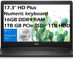 Dell 2021 Inspiron 17.3” HD Plus Business Laptop, Intel i7-1065G7(up to 3.9 GHz, 8MB Cache), 16GB DDR4 Memory, 1TB PCIE SSD, 1TB HDD, HDMI, WiFi, Webcam, DVD Drive, Numeric Win 10 Home