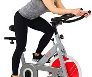 Sunny Health & Fitness Stationary Indoor Cycling Exercise Bike – SF-B1001/S