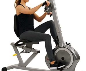 Sunny Health & Fitness Recumbent Bike SF-RB4631 with Arm Exerciser, 350lb,Gray