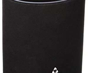 Phorus PS10 Speaker with Alexa and Play-Fi Wireless Streaming