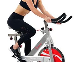 Sunny Health & Fitness Indoor Cycle Exercise Bike SF-B901B with Belt Drive