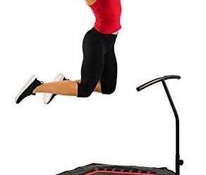 Sunny Health & Fitness NO. 079 Hexagon Trampoline Rebounder with Premium High Bounce Bungee Cords and Adjustable Handlebar for Fitness,Black