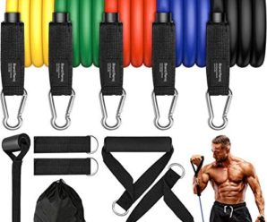 Renoj Exercise Bands Resistance Bands Set with Handles, Upgraded Workout Bands for Working Out 100LBS