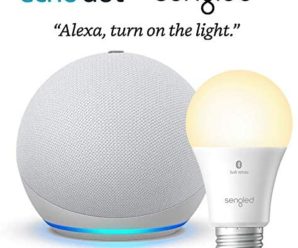 All-new Echo Dot (4th Gen) – Glacier White – bundle with Sengled Bluetooth bulb