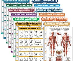 Palace Learning 16 Pack – Exercise Poster Set: Dumbbell, Suspension, Kettlebell, Resistance Bands, Medicine Ball, Battle Rope, Stretching, Bodyweight, Barbell, Yoga, Exercise Ball, Muscular