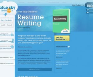 The Blue Sky Guide To Resume Writing