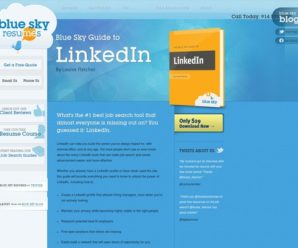 The Blue Sky Guide To Linkedin