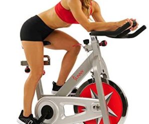 Sunny Health & Fitness Indoor Cycling Bike with 40 LB Flywheel and Dual Felt Pad Resistance – Pro / Pro II