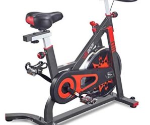 VIGBODY Exercise Bike Indoor Cycling Bicycle Stationary Bikes Cardio Workout Machine Upright Bike Belt Drive Home Gym