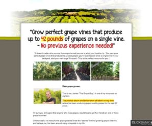 Grow Perfect Grapes