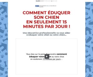 Dresser Son Chien En 15 Minutes Par Jour