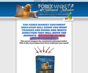 Forex Market Sentiment