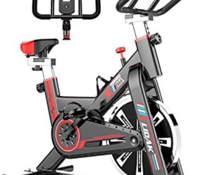 Indoor Cycling Bike Stationary, Exercise Bike Workout Bike,Fitness Bikes for Home Cardio Workout Bike Training Bike，Comfortable Seat Cushion, Multi – grips Handlebar, Heavy Flywheel Upgraded Version