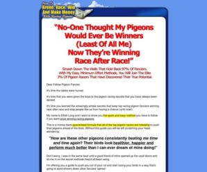 How To Race Pigeons – True Racing Secrets Revealed!