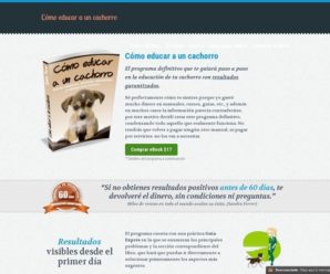 Cómo educar a un cachorro