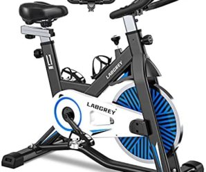 LABGREY Exercise Bike Indoor Cycling Bike Stationary Cycle Bike with Heart Rate Sensor & Comfortable Seat Cushion, Quiet Fitness Bike for Home Cardio Workout