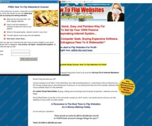 Flipping Websites |How To Flip Websites And Make Money Online