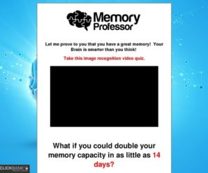 The Memory Professor System