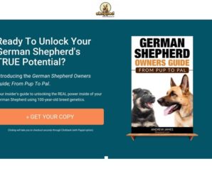 German Shepherd Owners Guide; From Pup To Pal | Shepped.com