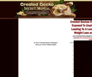 Crested Gecko Secret Manual