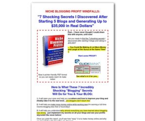 Niche Blogging Profits I Blog for Money (Faster)