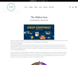 The Hidden Gem – Droppshipping