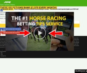 VIP Racing Profits